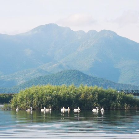 Apartment Dapcevic Skadar Lake Vranjina Екстериор снимка