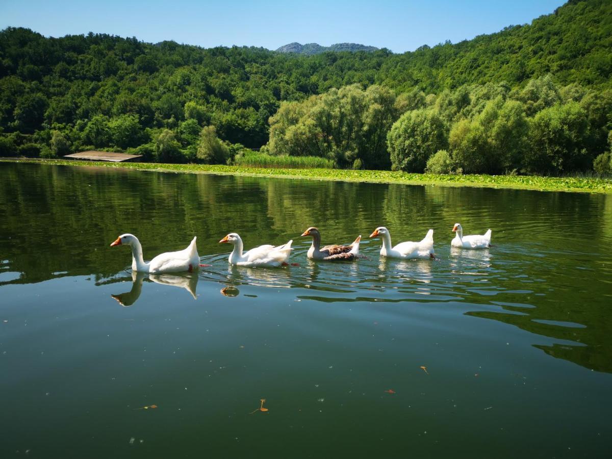 Apartment Dapcevic Skadar Lake Vranjina Екстериор снимка
