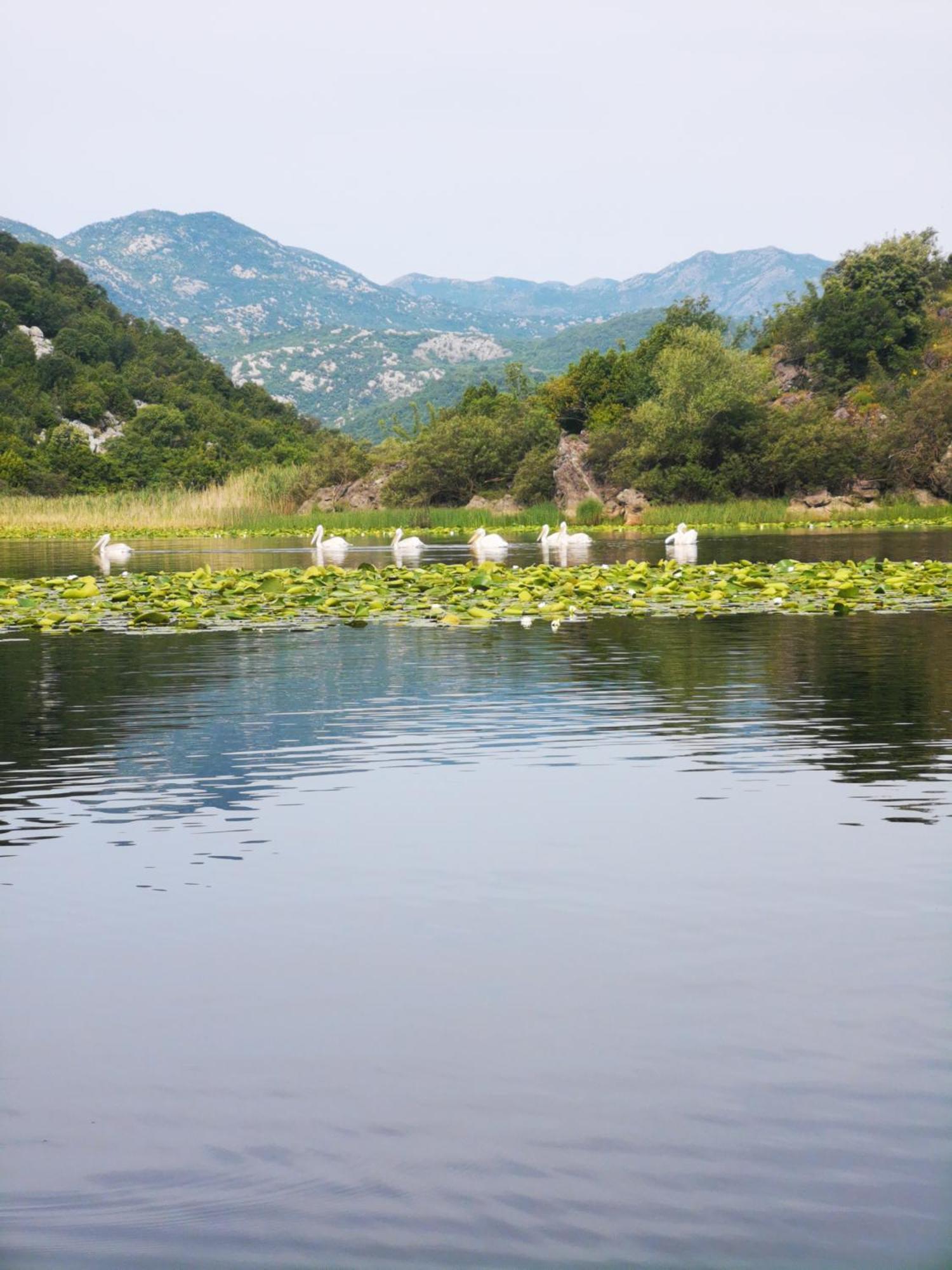 Apartment Dapcevic Skadar Lake Vranjina Екстериор снимка
